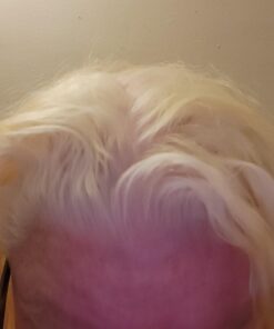 MANIC PANIC Flash Lightning Hair Bleach Kit - 30 Volume Developer + Bleach Powder for Hair Lightening + Lifting up to Five Levels - Vegan And Cruelty Free Orginal 53 610Mk30yCAL