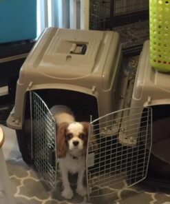 Petmate Ultra Vari Dog Kennel for Small to Medium Dogs (Durable, Heavy Duty Dog Travel Crate, Made with Recycled Materials, 28 in. Long) 25 to 30 lbs, Made in USA TAUPE/BLACK 28" 31 610OxnDqmwL