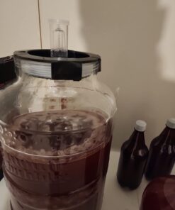 Big Mouth Bubbler® EVO - 5 Gallon Wide Mouth Glass Carboy Fermentor 16 610Qy1j78FL