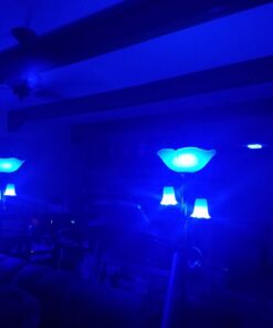 Philips Hue White and Color Ambiance A19 60W Equivalent Dimmable LED Smart Bulb (1 Bulb Compatible with Amazon Alexa Apple HomeKit and Google Assistant) 41 610TcZtC SL