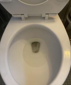 PUMIE Toilet Bowl Ring Remover, TBR-6, Grey Pumice Stone with Handle, Removes Unsightly Stains from Toilets, Sinks, Tubs, Showers, Pools, Safe for Porcelain, 1 Pack 1 Count (Pack of 1) 66 610Wp5uQWeL