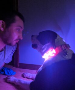 Blazin Ultra Bright Camping Lantern - Waterproof, Portable & Lightweight, 500 Lumens Rechargeable Camping Light, Runs Up to 6 Days - Ideal for Camping, Hurricane, Power Outages & Emergencies 500 Lumen Green 54 610Y3C2bClL