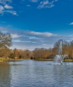 Tiffen 67UVP 67mm UV Protection Filter 24 610b8LTSXoL