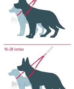 Leashboss Extra Long Double Dog Leash Coupler for Large Dogs - 16-28 Inches - Adjustable 1 Inch Heavy Duty Nylon Leash Splitter for Large Dogs (1 Inch Wide x 16-28 Inches, Black) 16-28 Inch 18 610daOEx6RL