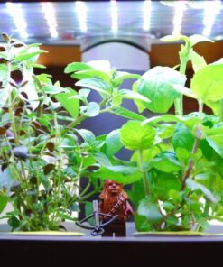 AeroGarden Classic 6 with Gourmet Herb Seed Pod Kit 40 610iZcPiQ9L