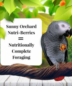LAFEBER'S Sunny Orchard Nutri-Berries Pet Bird Food, Made with Non-GMO and Human-Grade Ingredients, for Parrots, 3 lb 3 Pound (Pack of 1) 17 610leARrlFL