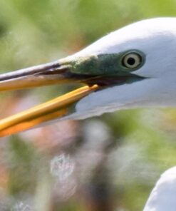 Nikon D500 DX-Format Digital SLR with 16-80mm ED VR Lens Black 52 610me6OH pL