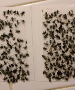 Car Seat Sun Shade Cover - Keep Your Baby's Carseat at a Cooler Temperature - Covers and Blocks Out Heat & Sun - More Comfortable for Baby or Child - Protection from UV Sunlight - Mommy's Helper 43 6117CbgFQJL 2