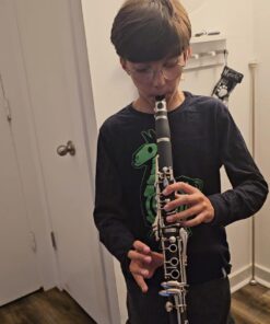 Glory GLY-PBK Professional Ebonite Bb Clarinet with 10 Reeds, Stand, Hard Case, Cleaning Cloth, Cork Grease, Mouthpiece Brush and Pad Brush, Black Black/Silver 26 6117DZYQNKL