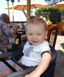 Inglesina Fast Table Chair - Award-Winning Baby High Chair for Eating & Dining - Compact, Portable & Foldable - Leaves No Scratches - for Babies 6-36 Months & 1-3 Year Old Toddler - Black 53 6118jRY0OmL