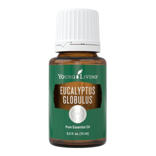 Young Living Eucalyptus Globulus Essential Oil 15ml - Pure & Revitalizing Aromatherapy - Breathe Easy & Refresh Your Senses - Topical & Aromatic - Supports Respiratory Health & Natural Well-Being Journey 0.5 Fl Oz (Pack of 1)