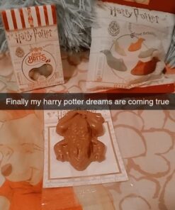 Harry Potter Jelly Gummy Candy Slugs, Bertie Botts Every Flavour Jelly Beans & Chocolate Crispy Frog (Bundle of 3 Items) 3 Piece Set 26 611FKVI4YTL
