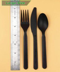 GreenWorks Compostable CPLA Disposable SPOONS, 100 Count Heavyweight Bio-based Plastic Cutlery Spoon 10 611FWdvjw1L