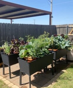 Fun Central 12 Pack - Realistic Rubber Snakes Toys for Garden in Bulk - 22 inches 31 611MsIQDjwL