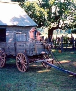 Gorilla Carts 13 Inch No Flat Replacement Wheel, Pneumatic Flat Free Cart Tires for Utility Garden Cart, Wheelbarrow, Dolly, Hand Truck, & Wagon (2 Pack) 20 611MuLflK7L