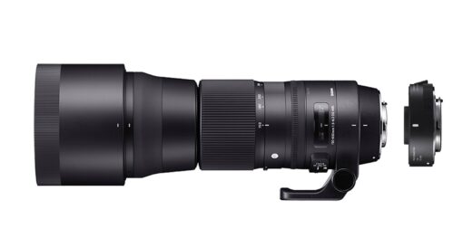 Sigma 150-600mm F5-6.3 Contemporary DG OS HSM & TC-1401 for Nikon Single