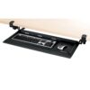 Fellowes Designer Suites Desk Ready Keyboard Drawer (8038304), Black 28 611OjQYWvcL