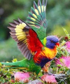 BN-LINK Heavy Duty Mechanical 24 Hour Timer Dual Outlet 3-Prong Accurate Indoor for Lamps Fans Christmas Lights White AC 1875W 1/2 HP, UL Listed U2 43 611QDzmvBBL