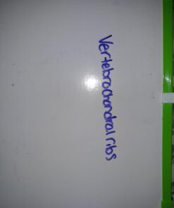 Quartet Dry Erase Markers, Whiteboard Markers, Fine Tip, ReWritables, Mini, Magnetic, Classic Colors, 6 Pack (51-659312Q) 32 611Qav4AGdL