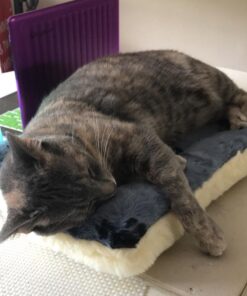 MidWest Homes for Pets Reversible Paw Print Pet Bed in Blue / White, Dog Bed Measures 17L x 11W x 1.5H for 'Tiny' Dog Breed, Machine Wash 17.0"L x 11.0"W x 1.5"Th 32 611QmVTi SL