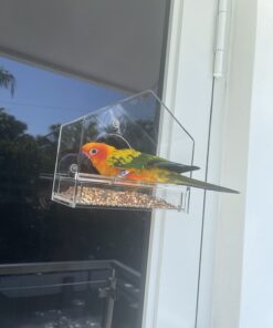 Nature Gear Window Bird Feeder - Refillable Sliding Tray - Weather Proof - Snow and Squirrel Resistant - Drains Rain Water - See Songbirds from Home! (House Style) (House Model) House 46 611TKR6C4L