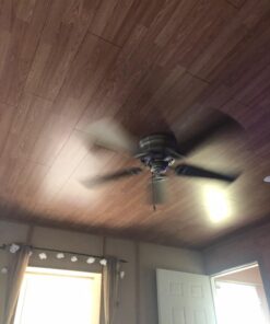 Hunter Fan Company Low Profile 52-inch Indoor Antique Pewter Traditional Ceiling Fan Without Light Kit, Includes Pull Chains, and Reversible WhisperWind Motor Antique Pewter finish 21 611aDoyk9tL