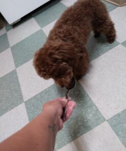 Vetoquinol Nutri-Cal 4.25 Oz - High Calorie Supplement for Cats and Dogs 34 611cWXOrrsL 1