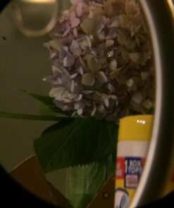 Wingspan Optics Explorer High Powered 12X50 Monocular. Bright and Clear. Single Hand Focus. Waterproof. Fog Proof. For Bird Watching, or Watching Wildlife. Daytime Use. Formerly Polaris Optics 33 611cxtTxOLL