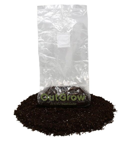 Pasteurized Manure Based Mushroom Substrate in Mushroom Grow Bag