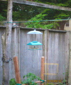 Perky-Pet 340 Transparent 16-Inch Squirrel Baffler 27 611ktjzk8DL