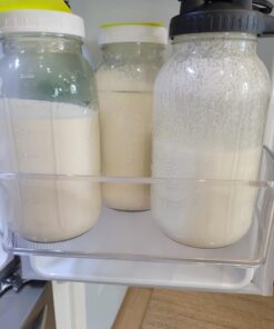 Fusion Teas 1 TBSP Organic Milk Kefir Grains and ebook “Milk Kefir Unleashed by Thomas Egbert” - Fresh Live Active Probiotic Starter Cultures 42 611lbyzRLdL