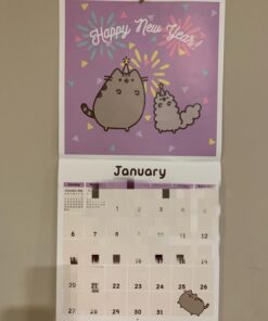 Pusheen the Cat 2019 Wall Calendar 29 611mH36qWBL 1