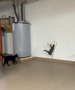 SPOT by Ethical Products - Sponge Soccer Balls Cat Toy, 4-Pack Interactive Cat toys Chasing Hunting Stimulating Cat toys For Indoor Cats Best Sellers, Small Green, Pink, Blue, Yellow, Black 27 611qS2KP0WL