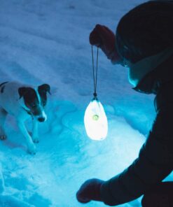 POWER PRACTICAL Luminoodle - The Original LED Light Rope for Camping - 5ft Waterproof USB Powered LED String Lights + Lantern for Hiking, Safety, Emergencies 5 FT 29 611r9DX9xLL