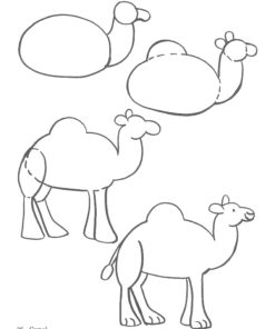 How to Draw Animals: Step-by-Step Drawings! (Dover How to Draw) 24 611ruyQzn0L