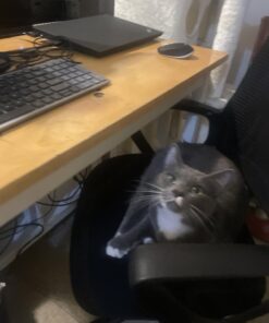 SMUG Office Computer Desk Chair, Ergonomic Mid-Back Mesh Rolling Work Swivel Task Chairs with Wheels, Comfortable Lumbar Support, Comfy Arms for Home, Bedroom, Study, Dorm, Student, Adults, Black Modern 42 611uUtkFx8L