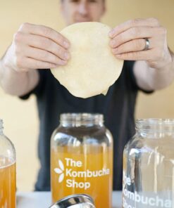 Organic SCOBY Kombucha Starter Kit - 100% Guaranteed to Brew - Fresh, Live Culture with Strong Starter Liquid 12 611vZ1MBML