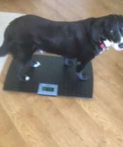 W.C Redmon Precision Digital Pet Scales, Large Large (Pack of 1) 31 611wsMijYL