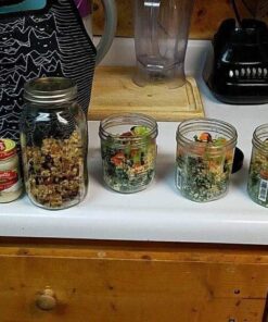 Artovida Artists Collective Insulated Neoprene Lunch Bag - Washable Soft Lunch Tote for Work and Picnic - Design by Tobe Fonseca (Brazil) Furr Division - Classic Tobe Fonseca Furr Div. Cats 25 6122d07lpL