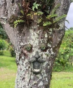 Tree Face Bird Feeder (Hand Painted) Fun Outdoor Decor Includes Glow in The Dark Eyes 23 612695OGXQL
