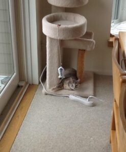 Fashion's Talk Cat Toys Variety Pack for Kitty 20 Pieces 40 6127jfr6caL