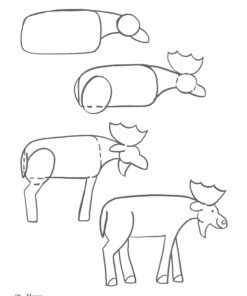 How to Draw Animals: Step-by-Step Drawings! (Dover How to Draw) 23 612BuKOvuFL