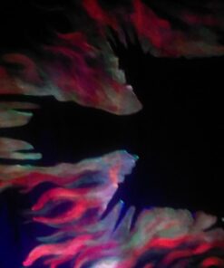 Eliminator Lighting BLACK 24 LIGHT BULB 5 612DriBsAeL