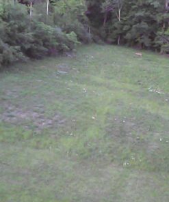 Syma X5C 4 Channel 2.4GHz RC Explorers Quad Copter w/ Camera 16 612I4qlftqL