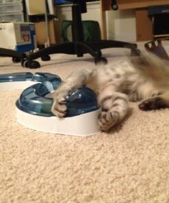 Catit Design Senses Play Circuit, Original Blue 21 612IqrsN7L