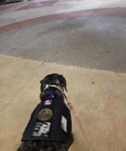 PetSafe® Gentle Leader® Headcollar, No-Pull Dog Collar, Large 60-130 Lb., Black 21 612WD1cMlAL