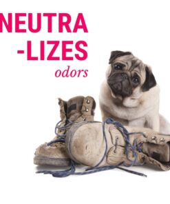 DogFresh Moisturizing Oatmeal & Baking Soda Spray, Dog Itching Skin Relief, Natural Cleansing & Deodorizing Spray, Dog Leave in Conditioner for Dry Itchy Skin, Suitable for Puppies (17oz) 21 612XGzfgYzL