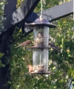 Perky-Pet 325C 2-Tier Copper Panorama Bird Feeder 2 Tier 19 612Zl0zr 9L