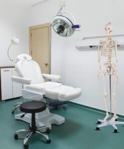 Giantex B010L18XEW Life Size 70.8" Human Anatomical Anatomy Skeleton Medical Model + Stand 30 612cuzKIziL
