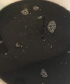 Still Spirits Turbo Carbon (Pack of 5) 5 612lLBcA5wL